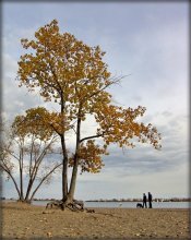 .. Like the autumn years .. / .....