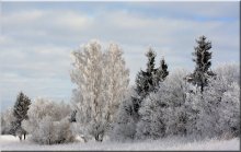 Winter ... / ***