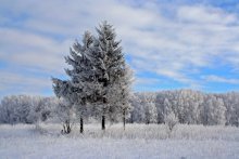 Winter 2 ... / ..............