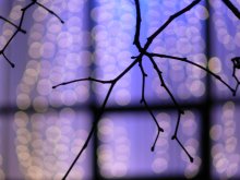 Night city / ***