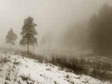 Winter fog / ***