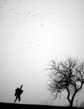fly away with all / ***