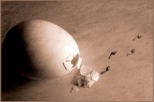 Birth ... / ...