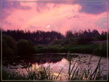 Mellow chime at dawn / ***