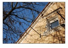 window / ***