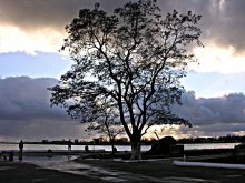 Before the storm / ***