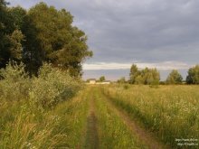 Road / ***