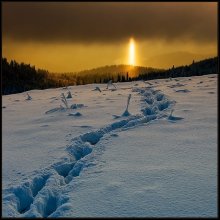 The disappearance of the ufologist / ***