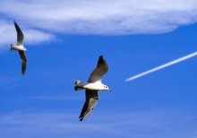 In the sky / *********