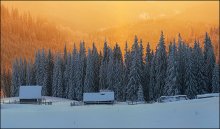 Carpathian Winter Etude # 8 / ***