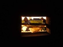 box / ***