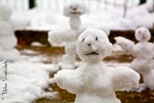 SNOW Men / no commemnt