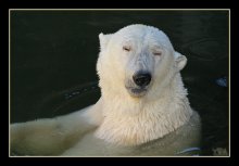 Ufff ... That was yesterday ?!... / ***