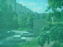 The world through the bars. / ***