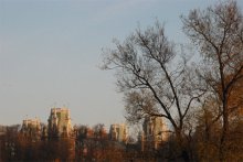 this was the autumn / ***