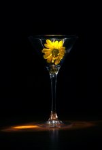 flower / ***