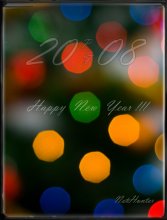 PF 2008 / ***