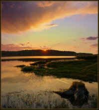 evening / ***