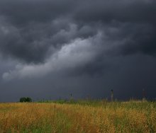 Abudzhenne Pyaruna / _______