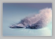 Tenderness / *******