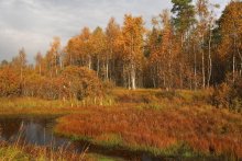 Autumn colors / ***