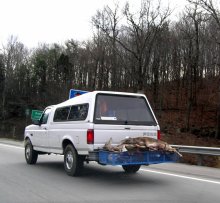 Kozel and his victims / ***