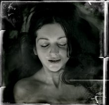 Terrarium / ***