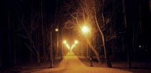 Park / Park