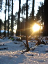 sun and snow / ***