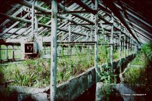 Neglected greenhouses / ***