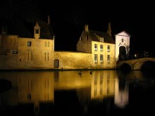 night courting swans / ***