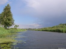 River Oster / ***