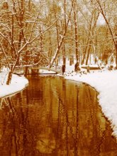In Winter Park / ___