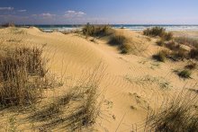 Düne / --------