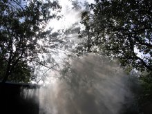 haze / ***