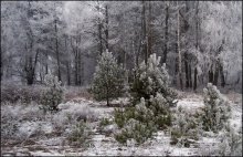 Winter twilight / -------