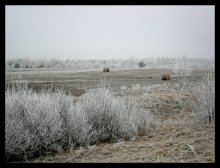 In the winter predkushenii / ***