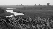 Quietly carries its waters Woodland River / ***