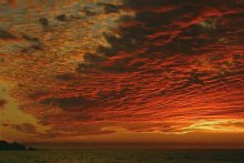 Fiery sunset / ***