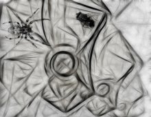 Web / ***