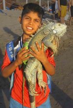 Boy with iguana / ***