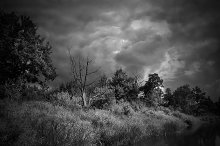 Calm before the storm / ***