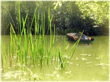 Schwebte Sommer trug seine Kindheit ... / ***