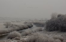 Severe frost in the valley / ***