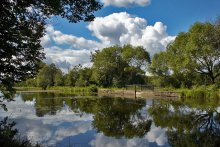 Millpond / ***