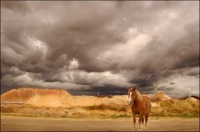 Beam before the storm / ***