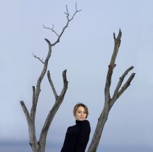 Portrait of the trees / ***