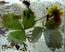 dissolve / ***