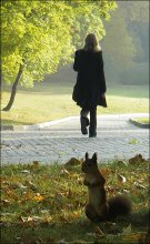 über ein Eichhörnchen und ein Mädchen / ***