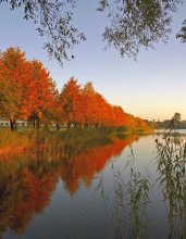 Holguin pond / ***